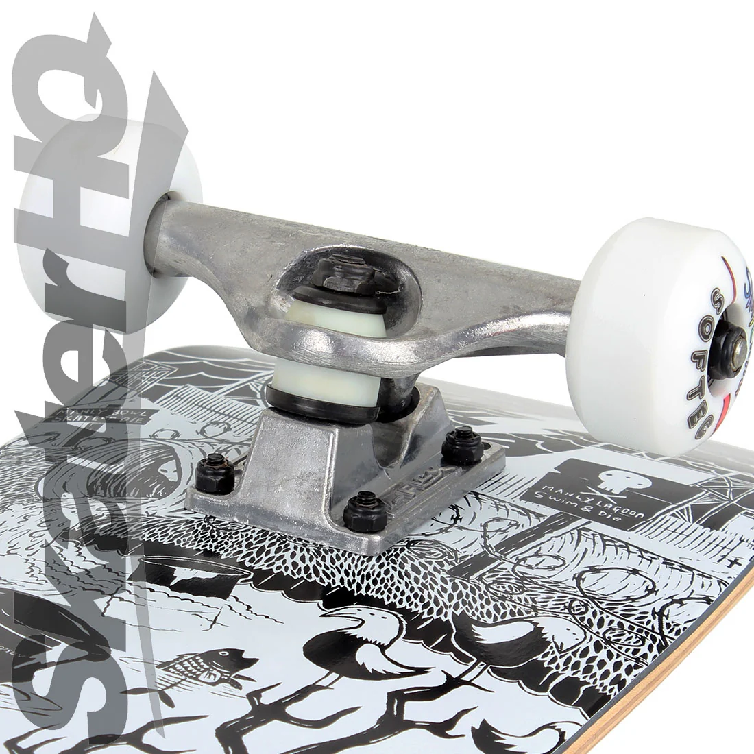 Skater HQ Manly Lagoon 7.25 Mini S Complete - Image 3